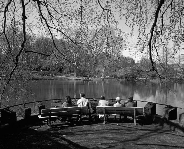 Recreation
Dortmund
Schlüsselwörter: Teich, Wasser, Bank, BÃ¤nke, Personen, Aussicht, Ã„ste, Winter, FrÃ¼hling, Pflanze, Sonne, 50er Jahre, schwarzweiss, Erholung, strahlen, WÃ¤rme, warm, Aufbruch, Jahreszeit, Stille, Ruhe, Vegetation, Botanik, botanisch, naturnah, romantisch, Rondell, 