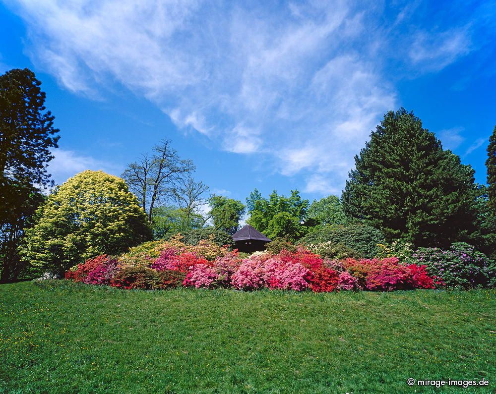 Flowerage
Rombergpark Dortmund
