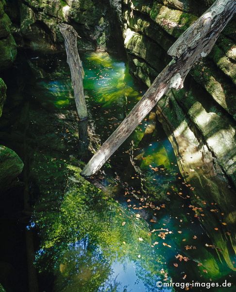 Gorges de l'Areuse
Val de Travers
Schlüsselwörter: Baumstamm, BaumstÃ¤mme, Wasser, grÃ¼n, Spiegelung, Fluss, Becken, fantastisch, phantastisch, Wildnis, rauh, rau, mystisch, Kulisse, romantisch, Stille, ursprÃ¼nglich, Magie, Steine, SchÃ¶nheit, atemberaubend, faszinierend, eindrucksvoll, Landschaft, wande