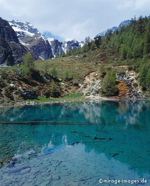 Lac Bleu
Val d'Hérémence
Schlüsselwörter: Europa, Schweiz, Alpen, Hochland, wandern, Wanderung, Hochgebirge, alpin, Wurzel, Holz, kraftvoll, knorrig, Botanik, natürlich, Alter, Postkarte, See, türkis, blau, Einsamkeit, Felsen, Hochgebirge, Stille, Wasser, Romantik, Idylle, Berg, Berge, Tannen
