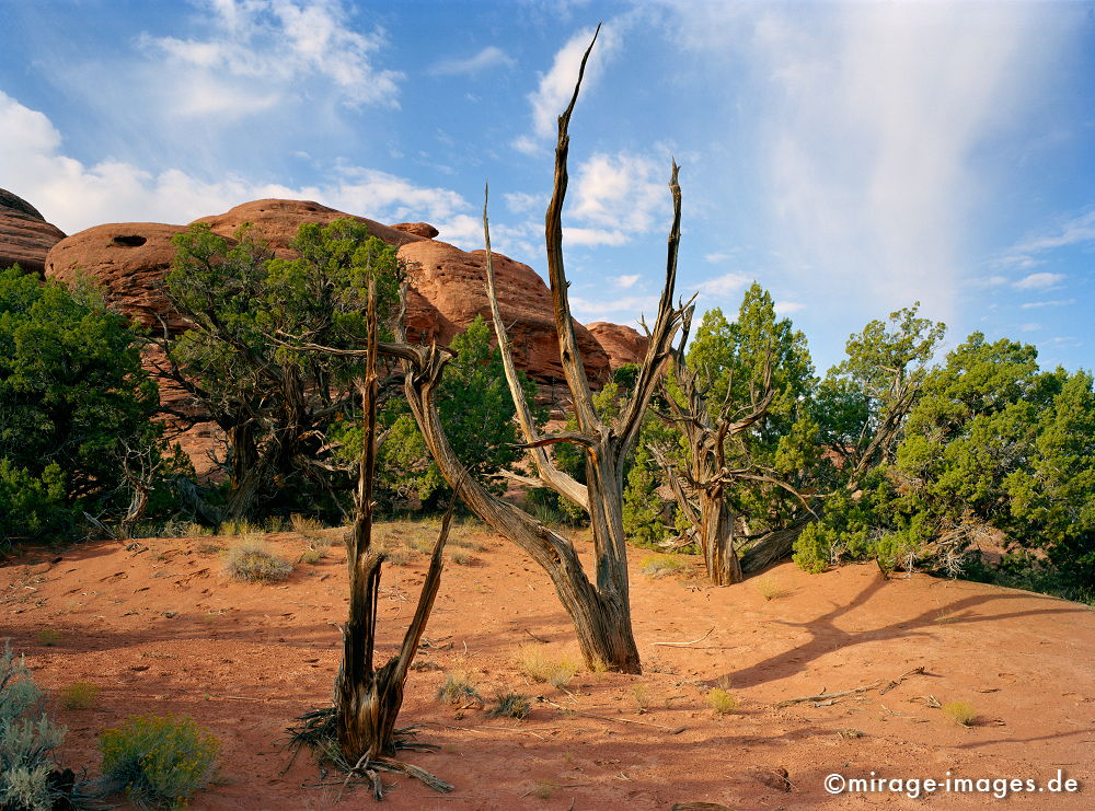 Movie Set
Canyonlands
