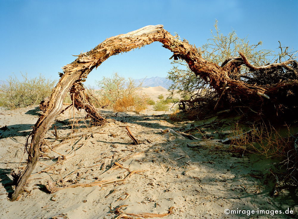 Ast
Death Valley
