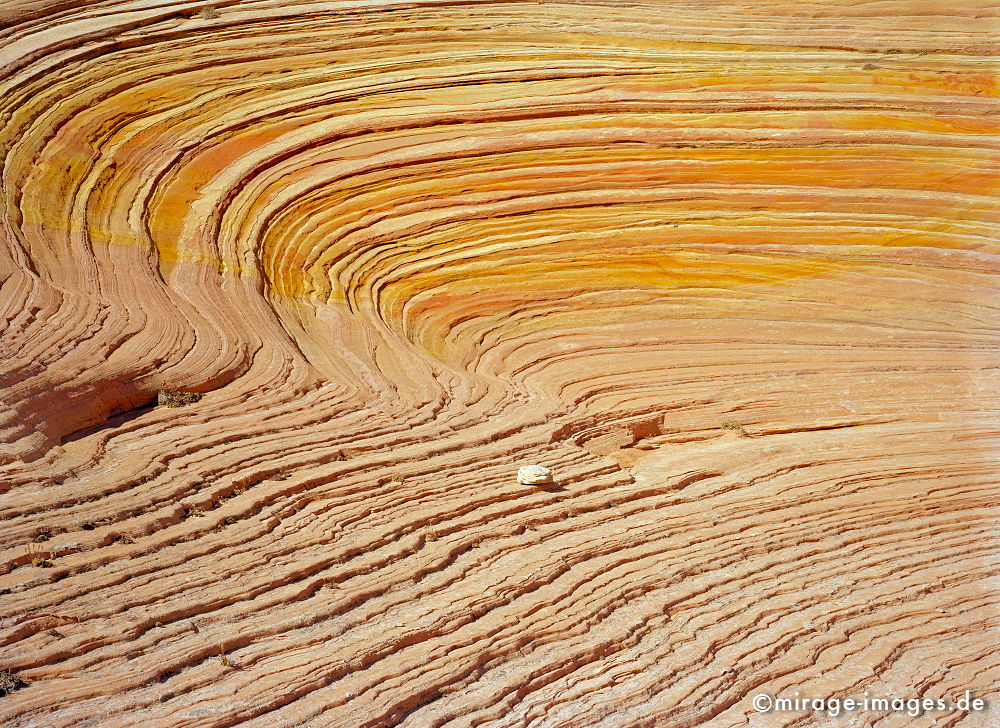 Curves
Coyote Buttes Grand Staircase Escalante National Monument
Schlüsselwörter: Meditation1, meditativ, japanisch, Linien, Schwung, Harmonie, ocker, Leere, gelb, zerfurcht, Felsen, Stein, Wind, Sandstein, Erosin, wood, orange, Skulptur, abstrakt, Kunst, Trockenheit, fliessen, ornament, Struktur, rund, weich, Kamm, Kurve, Entspannung,