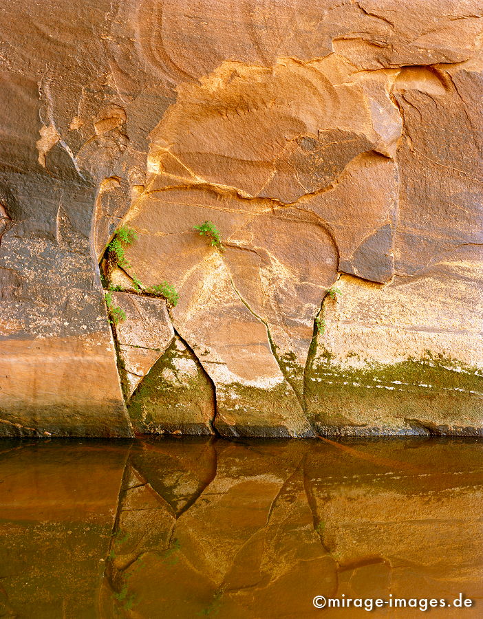 Neon Canyon
Glen Canyon National Recreation Area Utah
Schlüsselwörter: Wasser, grÃ¼n, rot, zerfurcht, Felsen, Stein, Wind, Sandstein, Erosin, Bild, abstrakt, fliessen, ornament, Struktur, Entspannung, entspannen, Muster, Erdgeschichte, Naturwunder, SchÃ¶nheit, abgelegen, Abenteuer, Entdecken, AktivitÃ¤t, Umwelt, Vegetation,