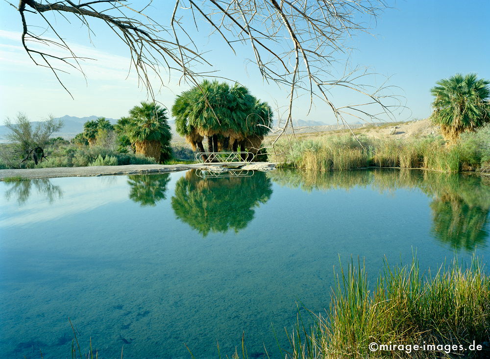 Bad Water
Lake Mead
