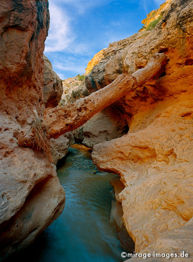 Creek
Capitol Reef NP
Schlüsselwörter: Erosin, Bild, abstrakt, fliessen, ornament, Struktur, Entspannung, entspannen, Muster, Erdgeschichte, Naturwunder, SchÃ¶nheit, abgelegen, Abenteuer, Entdecken, AktivitÃ¤t, Umwelt, Vegetation, kraftvoll, SchÃ¶pfung,