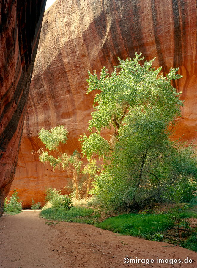 Neon Canyon
Grand Staircase Escalante National Monument
