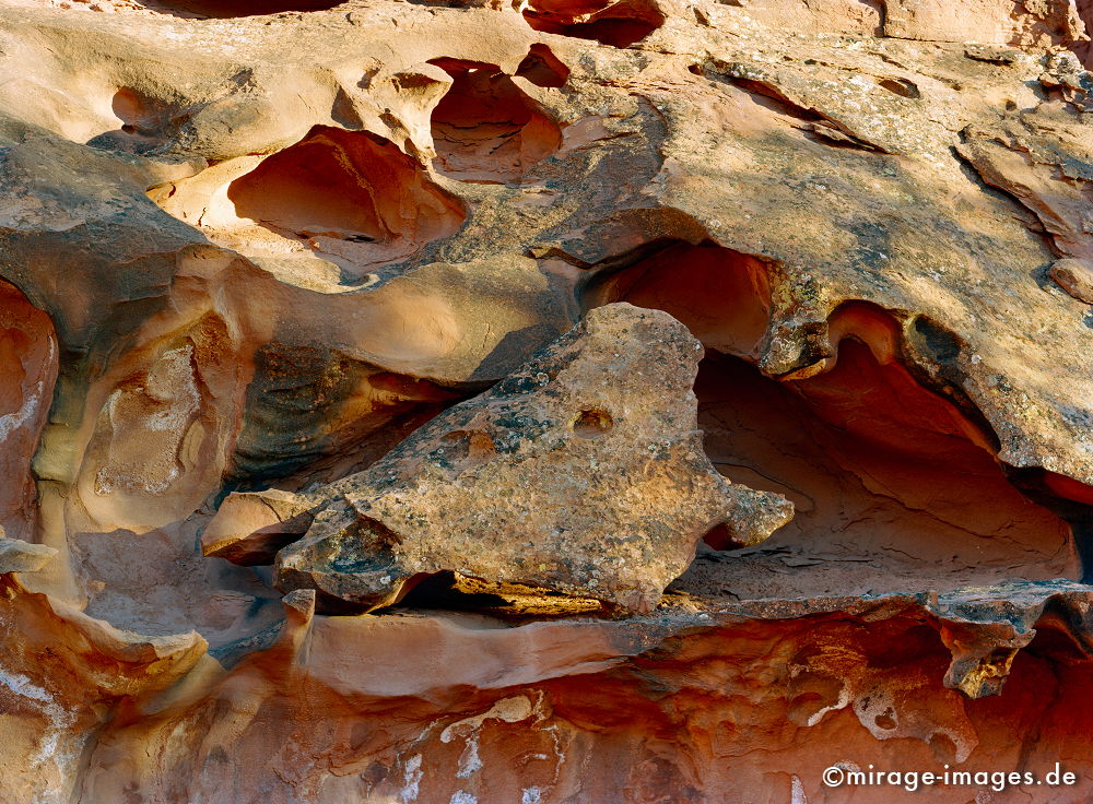 Beef Scull
Capitol Reef NP
Schlüsselwörter: natureart1