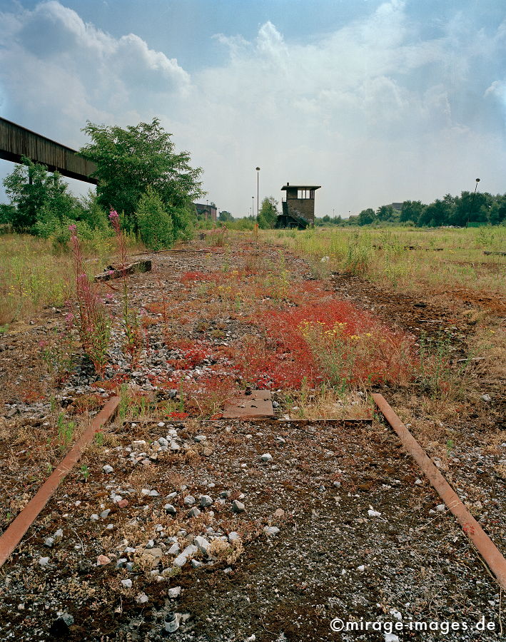 stillgelegte Bahngleise
Phönix West Dortmund
Schlüsselwörter: Industrie, Industrieruine, Stahlwerk, Rost, Eisen, Natur, Einsamkeit, Industriekultur, Bahngleis, stillgelegt, Ruine, Vegetation, Niemandsland, Haus, Blumen, rot, bunt, Rost, GelÃ¤nde, Fabrikanlage, verlassen, Montan,