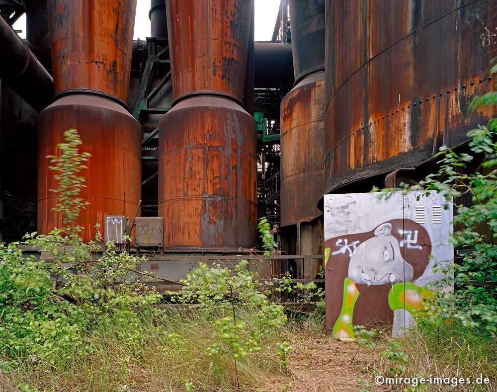 Politics
Phönix West
Schlüsselwörter: Industrie, Industrieruine, Stahlwerk, Rost, Eisen, Stahl, Architektur, Arbeit, Industriekultur, Verfall, Erosion, Zeitalter, Abbruch, Industrieanlage, Standort, Strukturwandel, Endzeit, baufällig, GebÃ¤ude, Fabrik, Ruine, Schwerindustrie, Fabrikanlage