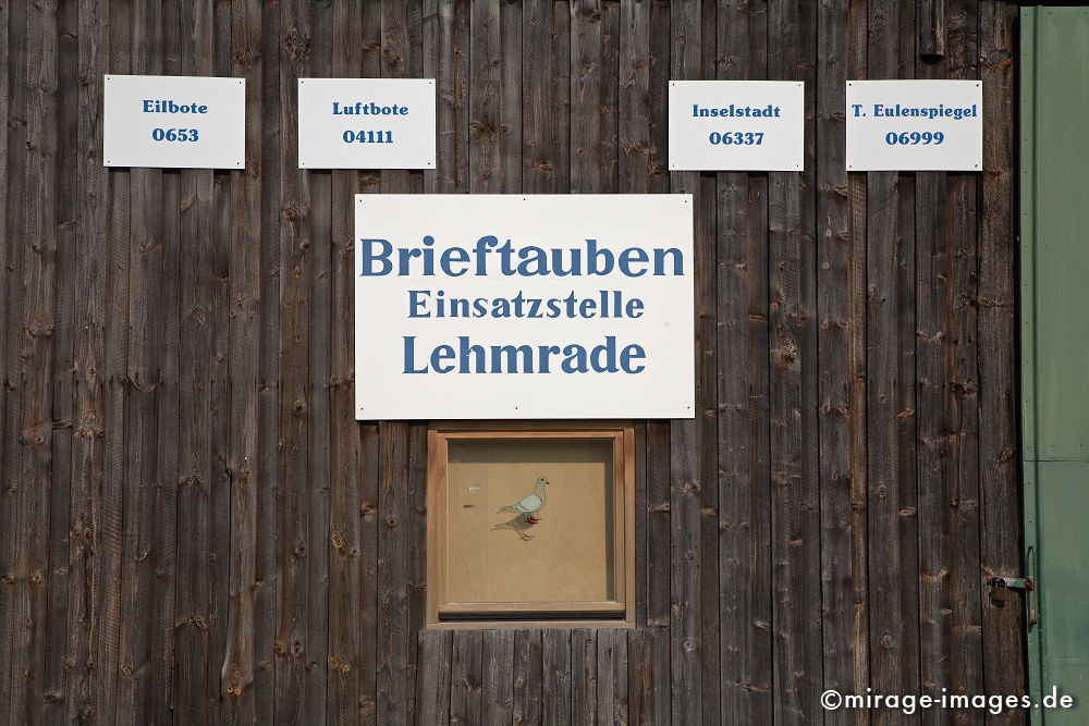 Brieftauben
Lehmrade
