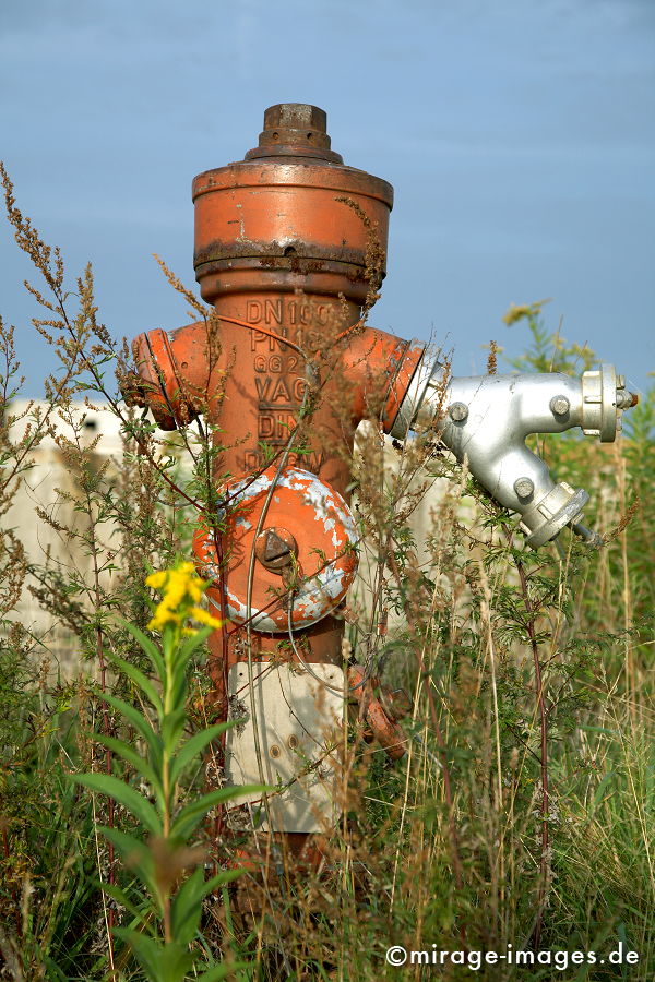 Hydrant
Kokerei Kaiserstuhl
Schlüsselwörter: Feuerlöscher, Ruhrgebiet, Geschichte, Industriegeschichte, Revier, Industrie, Industrieruine, Abbruch, Verfall, Erosion, Zeitalter, Industrieanlage, Standort, Strukturwandel, Endzeit, stillgelegt, Abriss, baufÃ¤llig, GebÃ¤ude, Ruine,