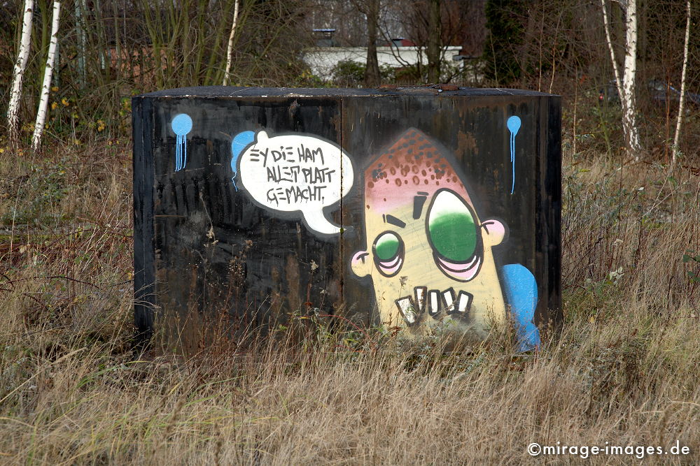 Graffiti auf Ruhrpott
Kokerei Kaiserstuhl
Schlüsselwörter: Jugend, Wirtschaft, Kohle, Industrieanlage, verlassen, Montanindustrie, Traum, Kunst, Malerei, Fantasie, bunt, farbig, Befindlichkeit,