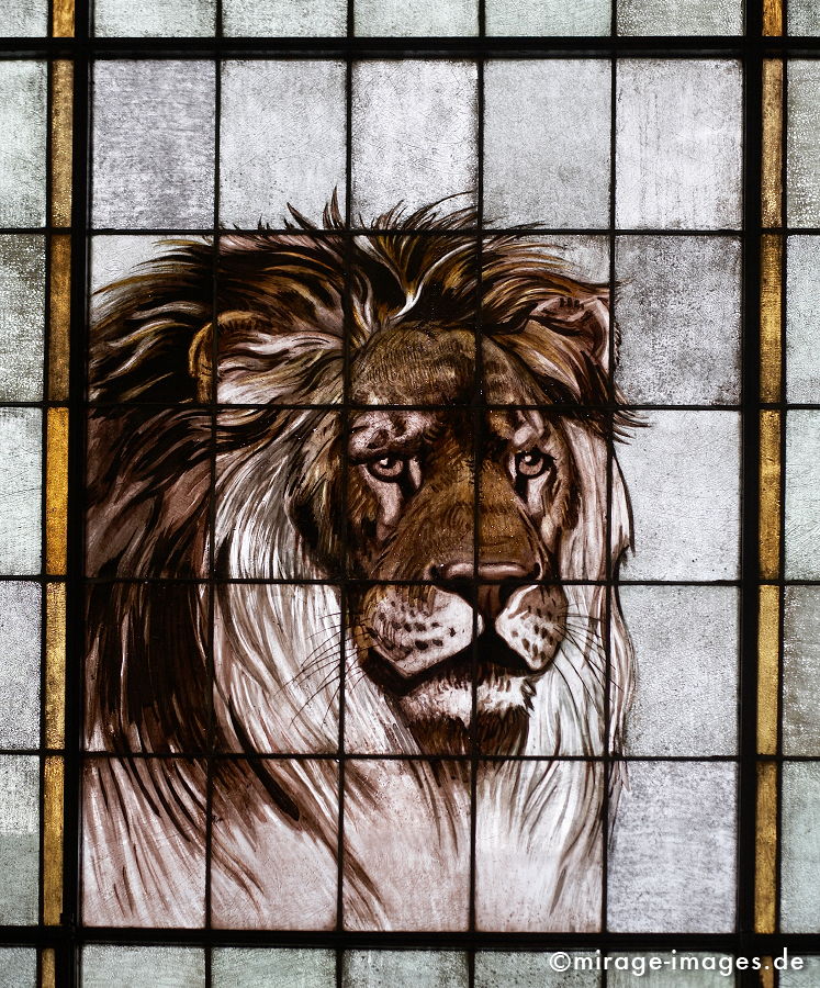 Lion
Forschungsmuseum Alexander König Bonn
