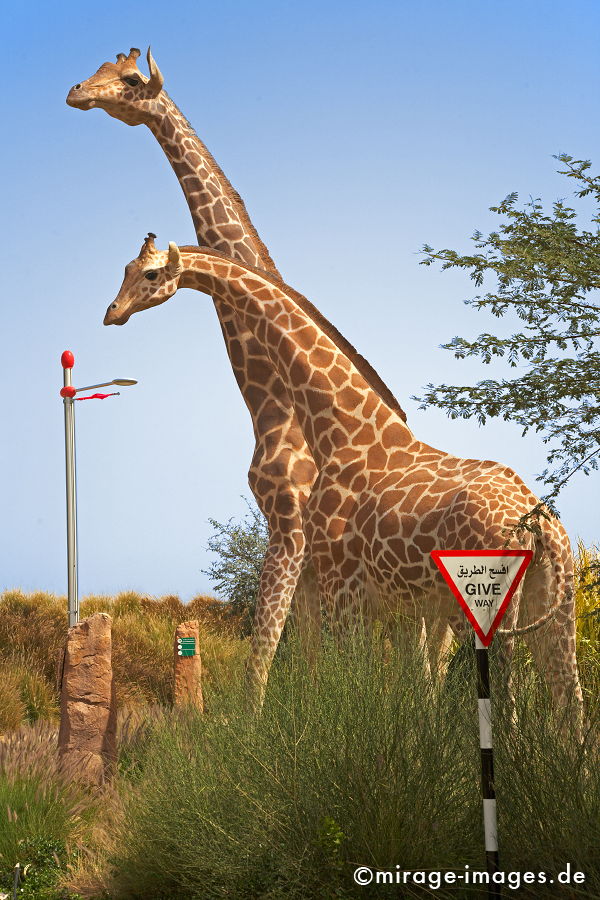 Giraffen
Dubailand
Schlüsselwörter: absurd, Attrappe, Beton, bizarr, deplaziert, Freude, Geldanlage, Geschäft, Globalisierung, Intelligenz, Investment, Investor, Kitsch, Konsum, Kontrast, kontrastreich, künstlich, Kuriosität, animals1, Metapher, Nachbildung, Park, Platz, Raum, Säugetie