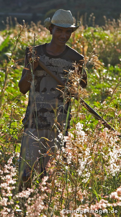 Farmer
Madagaskar
Schlüsselwörter: TotenschÃ¤del, SchÃ¤del, Sensenmann, Feld, Afrikaner, Arbeit, Zeit, Sonnenlicht, Sonnenschein, Portrait, Feldarbeit, Frohsinn, FrÃ¶hlichkeit, Lachen, Landleben, Mensch, romantisch, Ruhe, Jugendlicher, Sense, jung, Strohhut, kraftvoll, Muskelkraft, Mensch,