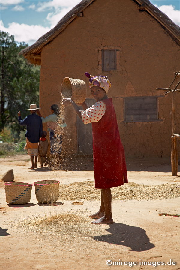 Cleaning Rice
Parc National Andringitra
Schlüsselwörter: mixed1