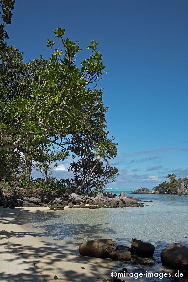 L´ile aux Nattes
Toamasina
Schlüsselwörter: Afrika, afrikanisch, Insel, exotisch, tropisch, Armut, Tropen, 3. Welt, Niedriglohn, Indischer Ozean, achte Kontinent, Gewürzinsel, Entwicklungsland, Naturwunder, französisch, Frankreich, Kolonialismus, Kolonie, Artenreichtum, Artenvielfalt,