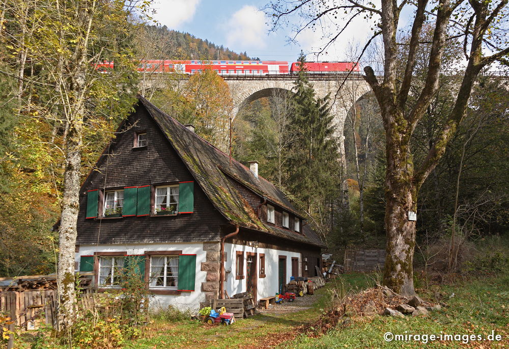 Schwarzwaldhaus
Freiburg
Schlüsselwörter: idyllisch, Idylle, romantisch, Landschaft, Verkehr, Herbst, HÃ¤uschen, Haus, alt, Natur, Romantik, romantisch, Sonne, Moos, Flechten, Tal, malerisch, wandern, Wanderung, Zug, Bahn, FreizeitvergnÃ¼gen, Rast, Pause, Platz, Wald, Bilderbuch, lieblich, Haus,