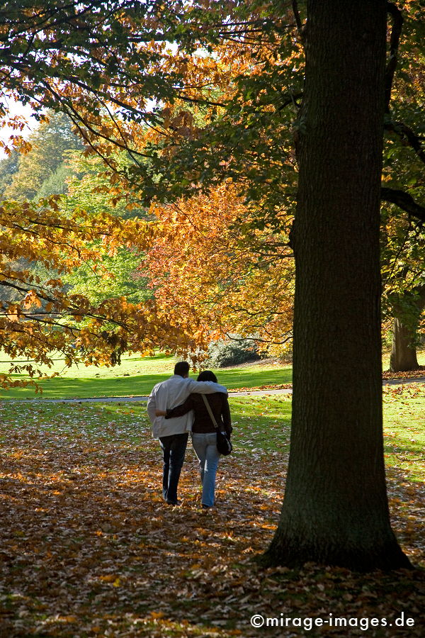 Spaziergang
Rombergpark Dortmund
Schlüsselwörter: love1, Herbst, Wald, verwelkt, Blätter,