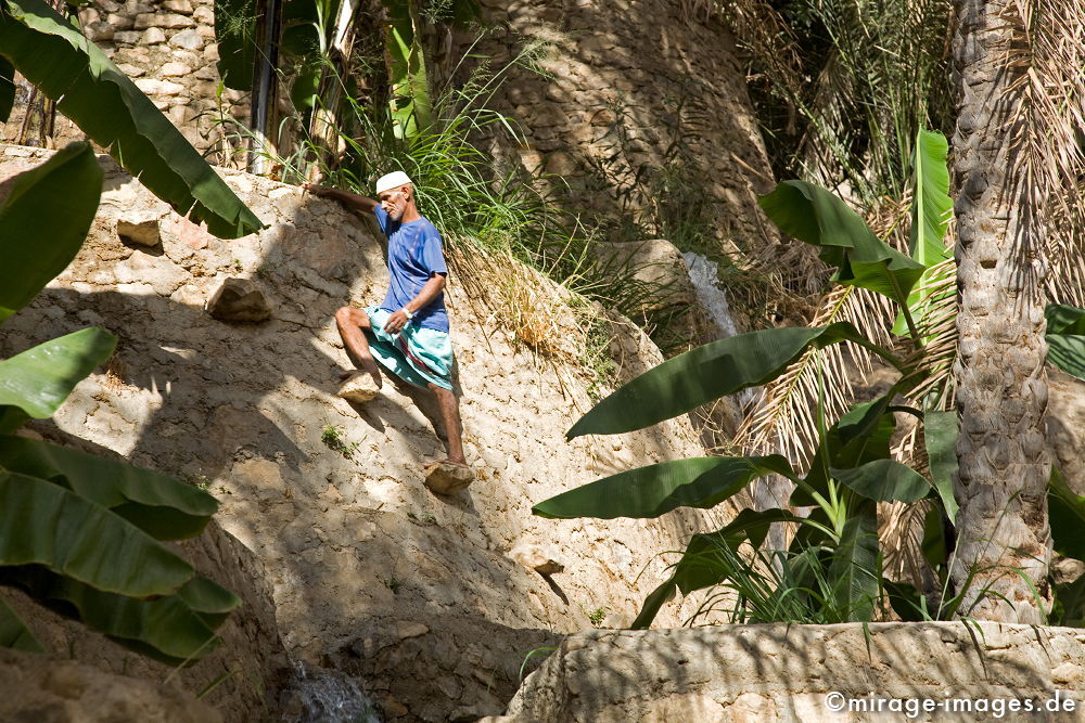 Wakir
Al Hajar al Gharbi
Schlüsselwörter: BewÃ¤sserung, Omani, Falaj, Aflaj, Aflaaj, Oase, Wasser, wertvoll, ErnÃ¤hrung, Ã¼berleben, Landwirtschaft, alt, Erbe, Wakir, Garten, Treppe, Plantage, Mensch, Mann, Terrassen, Lebensmittel, zeitlos, Dorf, lÃ¤ndlich, ruhig, gelassen, Charakter, Gartenkunst