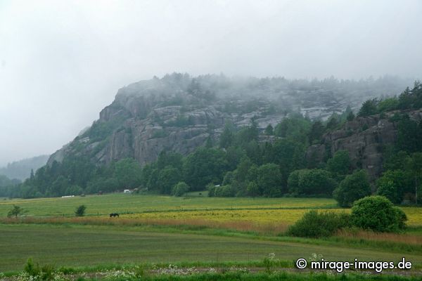 lush meadow
BohuslÃ¤n
Schlüsselwörter: Wiese, saftig, Ã¼ppig, feucht, Nebel, nass, grÃ¼n, Landschaft,