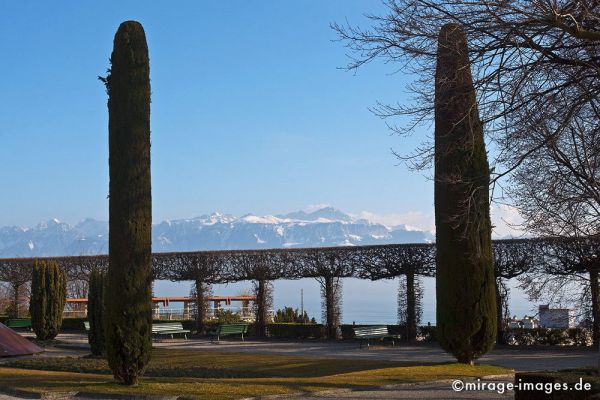 View from Casino de Montbenon 
Lausanne
Schlüsselwörter: Alpen, Berge, Schnee, Blick, Aussicht, Fernblick, Fernsicht, Gegend, Panorama, Rundblick, Sicht, Überblick, Terasse, Weite, malerisch, Bänke, Entspannung, Winter, Luxus, 