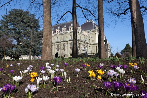 Palais de Justice
Lausanne
Schlüsselwörter: Krokus, Frühling, Sonne, warm, Himmel, blau, Gebäude, alt, Architektur, Park, bunt, Beet, Justiz, Bäume, Stämme, 