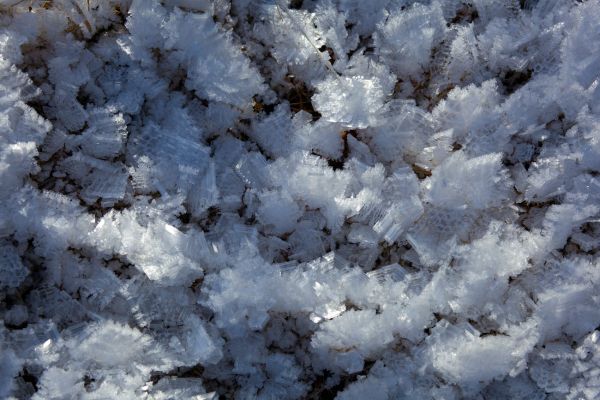 Diamond Dust
Lötschental
Schlüsselwörter: weiss abstrakt Form Textur Struktur GemÃ¤lde Symmetrie Relief Metamorphose malerisch Schnee Kristalle kristallin SÃ¼sswasser vereist eisig Eis gefroren Winter Frost KÃ¤lte kalt Eleganz romantisch rauh Natur geschÃ¼tzt bizarr Zauber natÃ¼rlich