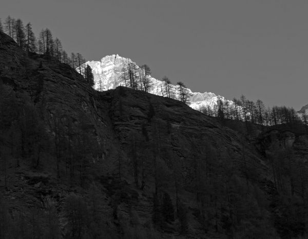 Alpenglühen
Zinal
Schlüsselwörter: malerisch Naturschönheit Gemälde Schnee Sonne Steine Felsen Berge Berg wild Licht romantisch rau ungezähmt Landschaft Natur karg einsam kraftvoll unverfälscht dramatisch spektakulär  Stille ursprünglich Dunkelheit magisch Kontrast Seele Schönheit  