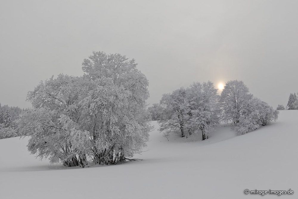 Deep Winter
Val de Ruz
Schlüsselwörter: Frost vereist Schnee verschneit Winter Klte kalt weiss romantisch Harmonie Landart malerisch Temperatur Baum einsam menschenleer magisch Ruhe Einsamkeit Pracht Zauber Meditation Versenkung Kontemplation Magie Natur natrlich Landschaft introvertiert