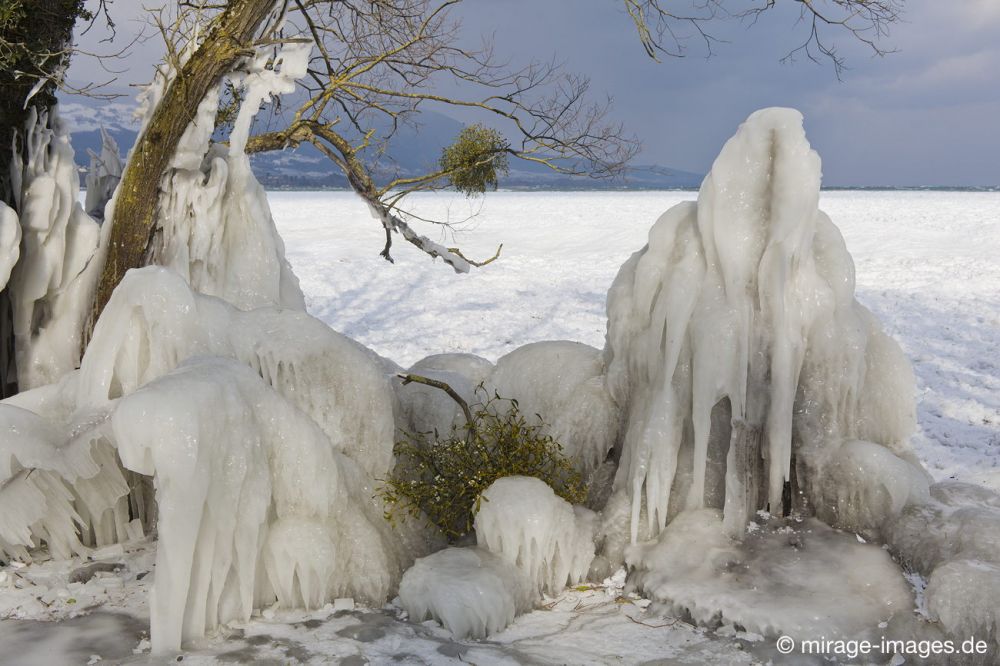 Grand Theatre
Lac de NeuchÃ¢tel 
Schlüsselwörter: Theater BÃ¼hne Licht Eis vereist arktisch Winter KÃ¤lte kalt sibirisch Frost malerisch skurill bizarr surrealistisch  extrem eingepackt umhÃ¼llt Baum Kunstwerk unbeweglich Stillstand Ruhe friedlich PhÃ¤nomen Element SchÃ¶nheit Magie Zauber magisch Zuckerg