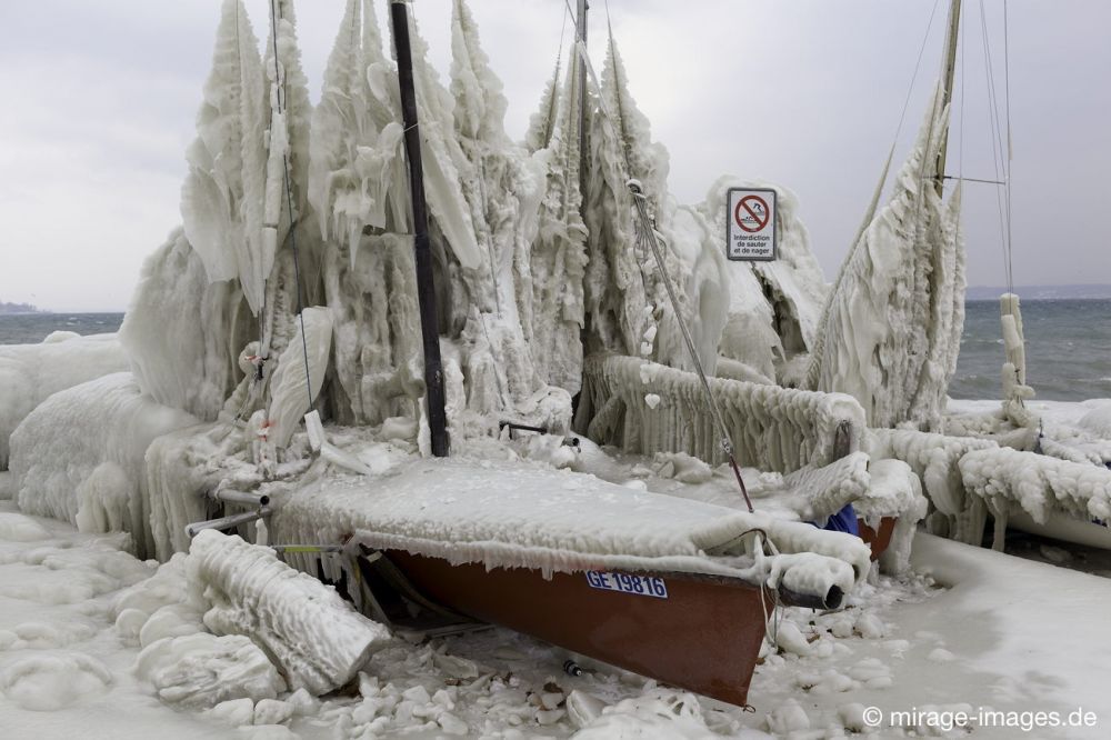 Stranded
Port de Choiseul Lac Léman
Schlüsselwörter: Zuckerguss Glatteis Eis vereist arktisch Winter Kälte sibirisch Frost Skulptur malerisch pittoresk bizarr surrealistisch Boote unbrauchbar Attraktion extrem eingepackt  Kunstwerk unbeweglich Ruhe friedlich Schönheit Zauber Segelboote 