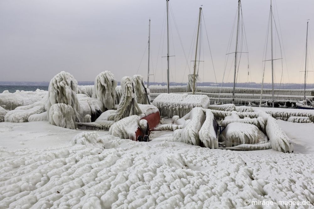 Stranded
Port de Choiseul Lac Léman
Schlüsselwörter: Zuckerguss Glatteis Eis vereist arktisch Winter Kälte sibirisch Frost Skulptur malerisch pittoresk bizarr surrealistisch Boote unbrauchbar Attraktion extrem eingepackt  Kunstwerk unbeweglich Ruhe friedlich Schönheit Zauber Segelboote 