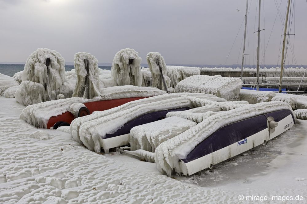 Harbour
Port de Choiseul Lac Léman
Schlüsselwörter: Zuckerguss Glatteis Eis vereist arktisch Winter Kälte sibirisch Frost Skulptur malerisch pittoresk bizarr surrealistisch Boote unbrauchbar Attraktion extrem eingepackt  Kunstwerk unbeweglich Ruhe friedlich Schönheit Zauber Segelboote 