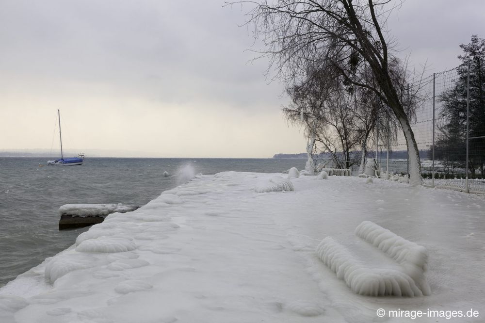 Unfriendly
Port de Choiseul Lac Léman
Schlüsselwörter: Zuckerguss Glatteis Eis vereist eisig kalt Sturm arktisch Winter Kälte sibirisch Frost Skulptur malerisch bizarr surrealistisch  unbrauchbar Attraktion extrem eingepackt  Kunstwerk unbeweglich Ruhe friedlich Schönheit Zauber Zuckerguss Wetter 