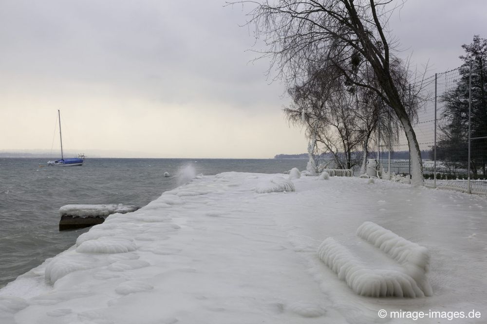 Unfriendly
Port de Choiseul Lac LÃ©man
Schlüsselwörter: Zuckerguss Glatteis Eis vereist eisig kalt Sturm arktisch Winter KÃ¤lte sibirisch Frost Skulptur malerisch bizarr surrealistisch  unbrauchbar Attraktion extrem eingepackt  Kunstwerk unbeweglich Ruhe friedlich SchÃ¶nheit Zauber Zuckerguss Wetter 