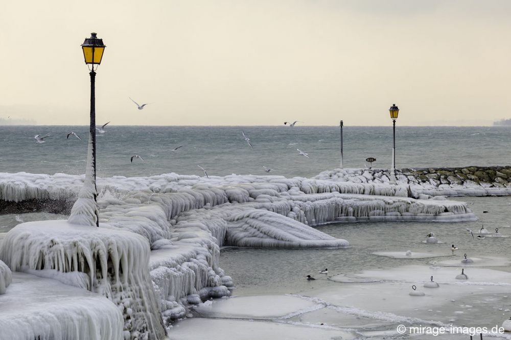 Lonely harbour 
Port de Choiseul Lac Léman
Schlüsselwörter: Zuckerguss Glatteis Eis vereist arktisch Winter Kälte sibirisch Frost Skulptur malerisch pittoresk bizarr surrealistisch selten Laternen Attraktion extrem eingepackt  Kunstwerk unbeweglich Ruhe friedlich Schönheit Zauber Spektakel 