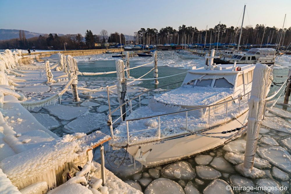 Harbour
Lac de NeuchÃ¢tel 
Schlüsselwörter: Eis vereist Wasser arktisch Winter KÃ¤lte weiss sibirisch Frost Ereignis Skulptur VerhÃ¼llung Schiff Hafen malerisch pittoresk skurill bizarr surrealistisch selten unbrauchbar Attraktion eingepackt umhÃ¼llt Zuckerguss Motorboot Kunstwerk unbeweglich Ruhe