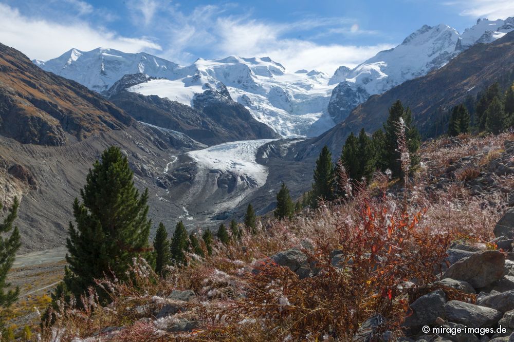 Morteratsch Glacier
Pontresina
Schlüsselwörter: Stein Felsen Berge Gebirge Weite Natur Landschaft Gletscher einsam Sommer Sonne sonnig menschenleer Freizeit Himmel blau Herbst Tal Ãœbersicht MorÃ¤ne Gletscherschmelze Schnee Erholung atemberaubend groÃŸartig Kulisse Attraktion Tourismus urwÃ¼chsig