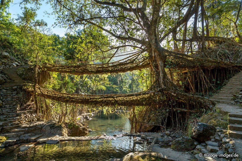 Umshiang Double-Decker Root Bridge
Cherrapunjee Nogriat
