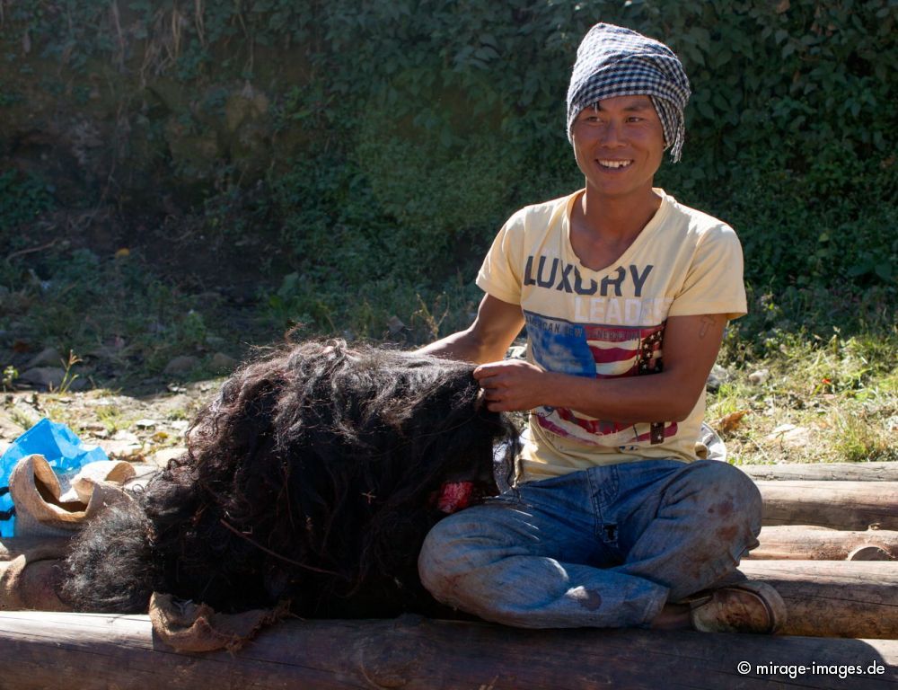 Yak Market
West Kamen Dirang
Schlüsselwörter: Fleisch Ernährung rot roh Verkäufer Käufer Tradition Yak Yakfleisch Hygiene Sonne Personen Verkauf Fleischer schlachten Farbe Mann draussen Tier Tod Huf tot unhygienisch verderben Blut blutig Einheimischer archaisch Alltag Handel Rind animalisch Markt