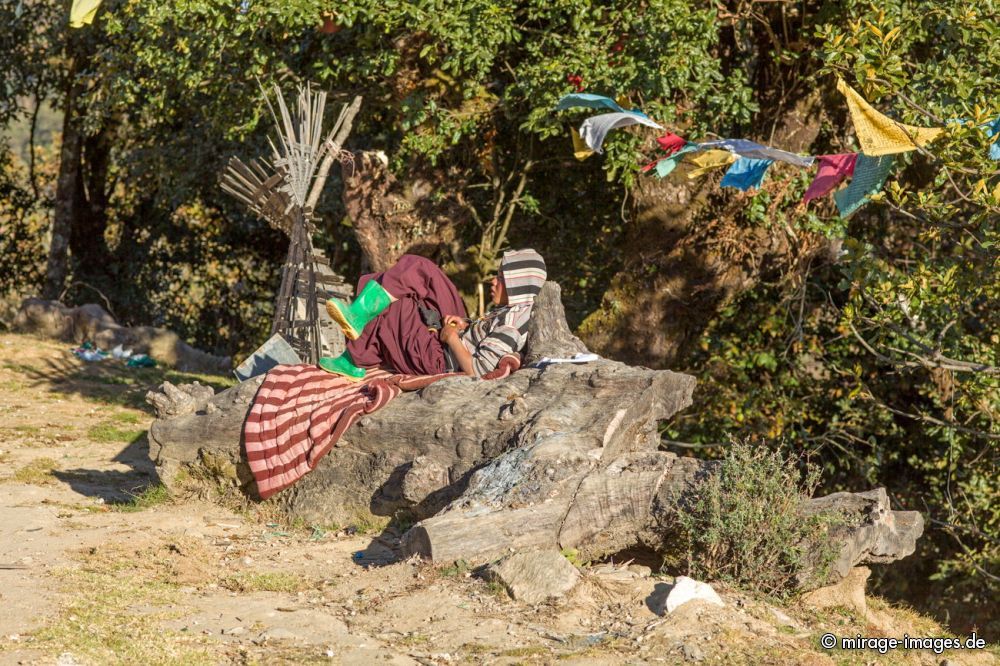 Rest
Khinmey Nyingma Monastery Tawang
