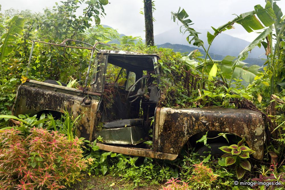 Scrap Car
Schlüsselwörter: Verfall, morbid, Zeit, Auto, Verkehr, Transport, Rost, Schmutz, verfallen, Schrott, pittoresk, gebraucht, Automobil, ausgedient, Wrack, Ã–kologie, Autowrack, Patina, alt, grÃ¼n, rostig, verlassen, Metall, Stahl, Eisen, allein, Alter, Abfall, cars1,