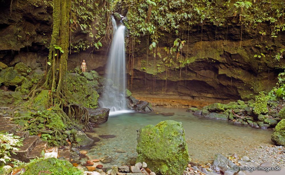 Emerald pool
Schlüsselwörter: Wasserfall, Ã¼ppig, Vegetation, dicht, Wasser, Regenwald, Dschungel, Ã¶kologisch, fliessen, fruchtbar, gesund, feucht, nass, idyllisch, Leben, Harmonie, weich, wuchern, Dickicht, Abenteuer, Zauber, Magie, malerisch, natÃ¼rlich, SchÃ¶nheit, frisch, empfind