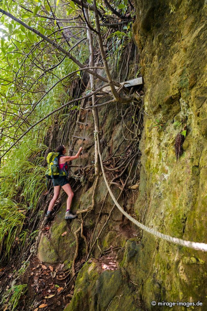 Climbing up
Wavin Cyrique
Schlüsselwörter: Wald, Ã¼ppig, Vegetation, dicht, Wasser, Regenwald, Dschungel, Ã¶kologisch, fliessen, fruchtbar, gesund, feucht, nass, idyllisch, Leben, Harmonie, weich, wuchern, Dickicht, Abenteuer, Zauber, Magie, klettern, Herausforderung,