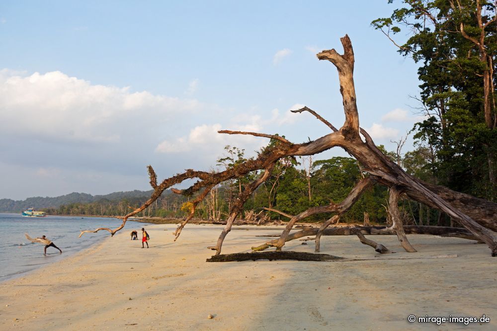 Fishermen
Havelock Island
