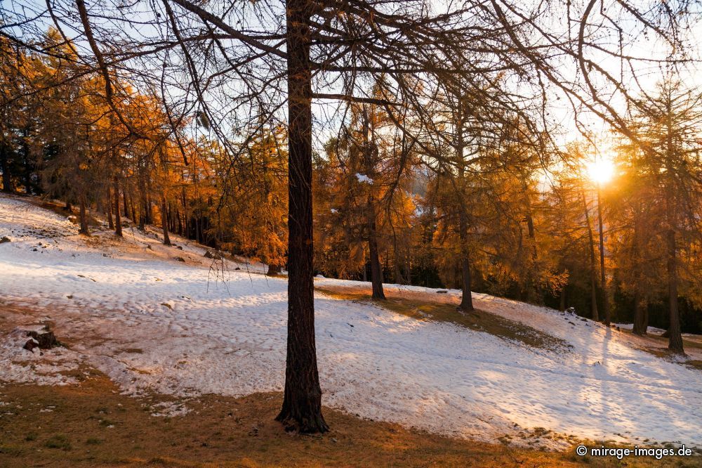 Alter Lärchenwald
Les mélèzes de Balavaux
Schlüsselwörter: Herbst, Herbstfarben, Landschaft, farbig autumn1 leuchtend, warm, gold, braun, Berge, Natur, urtümlich, romantisch, lebendig, Stille, ursprünglich, sensibel, Magie, Seele, Schönheit, Sonne, Baum, Bäume, Nadelholz, Nadelbäume, alt, Jahreszeit, Frieden