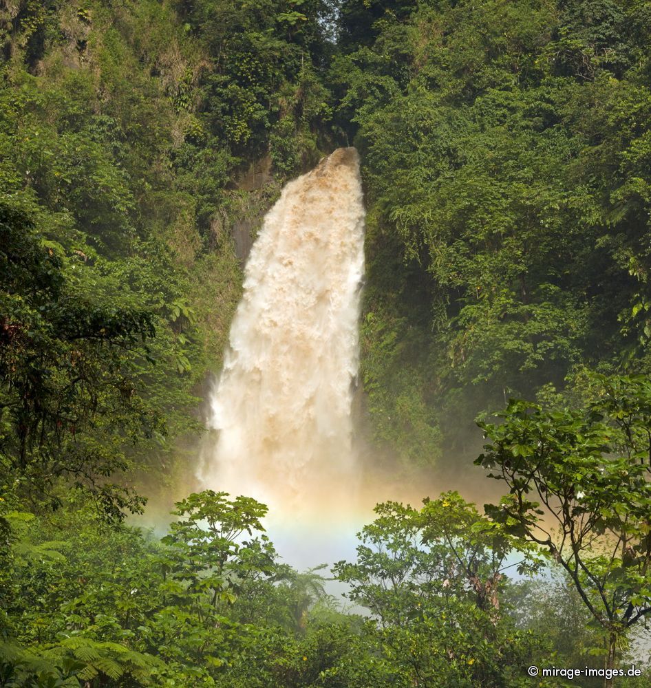 After the Rain
Trafalgar Falls
Schlüsselwörter: Wasserfall, üppig, Vegetation, dicht, Wasser, Regenwald, Dschungel, ökologisch, fliessen, fruchtbar, gesund, feucht, nass, idyllisch, Leben, Harmonie, weich, wuchern, Dickicht, Abenteuer, Zauber, Magie, malerisch, natürlich, Schönheit, frisch, empfind
