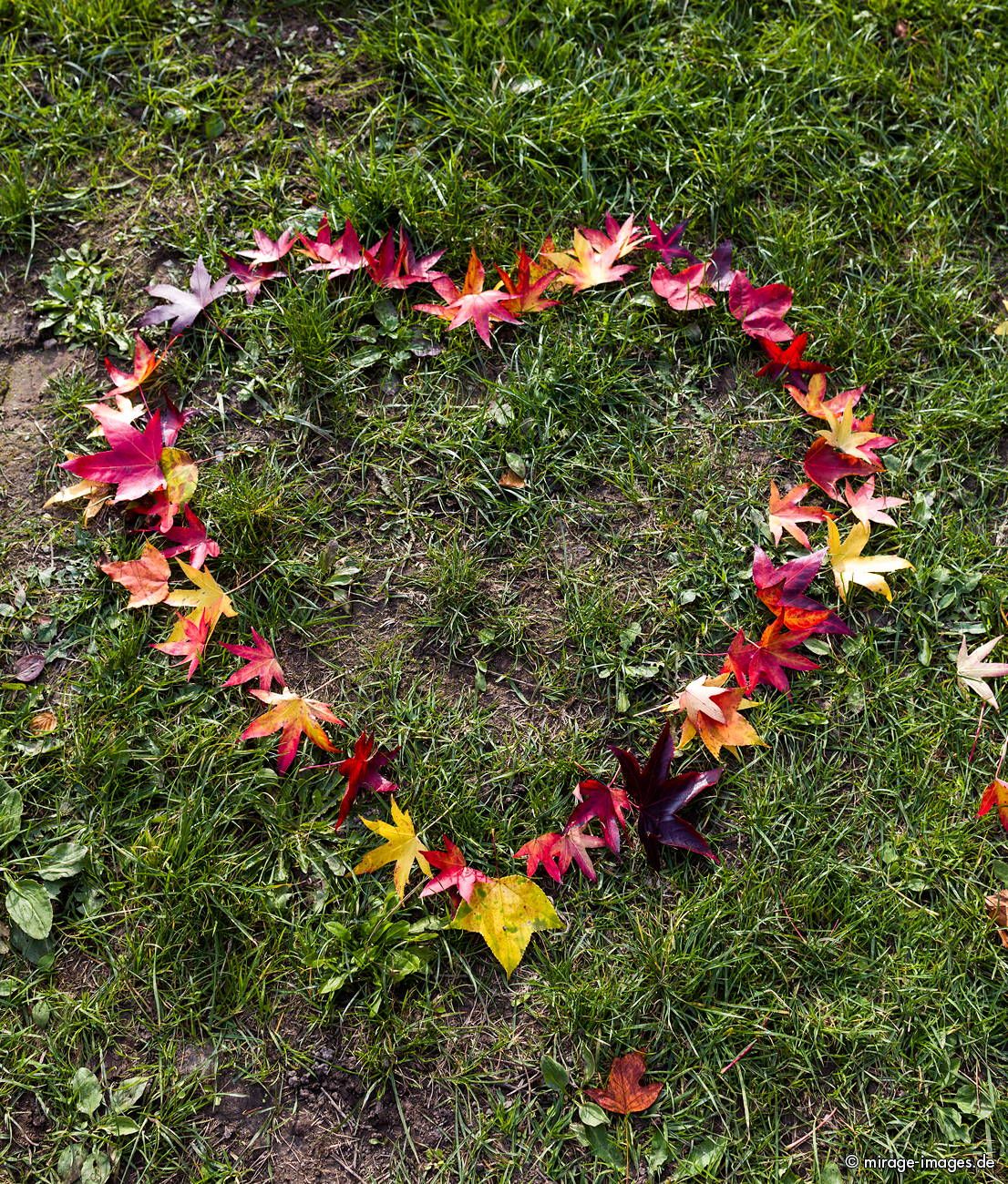 Leaves
Aubonne
Schlüsselwörter: Herz Poesie Blatt BlÃ¤tter Symbol Metapher Natur Flora Botanik dekorativ Liebe Sympathie Ruhe SensibilitÃ¤t Frieden GefÃ¼hl friedlich Pflanze bunt farbenfroh Wiese grÃ¼n Einfachheit NaivitÃ¤t Ahorn Zuneigung Botschaft Widmung Liebe Spiel Landart Herbst ei